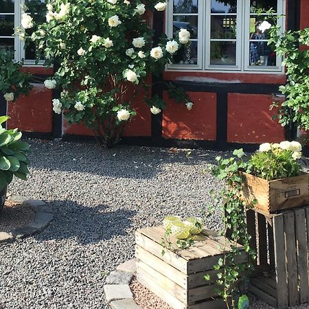 Lolland Bed & Breakfast Sollested  Exterior photo