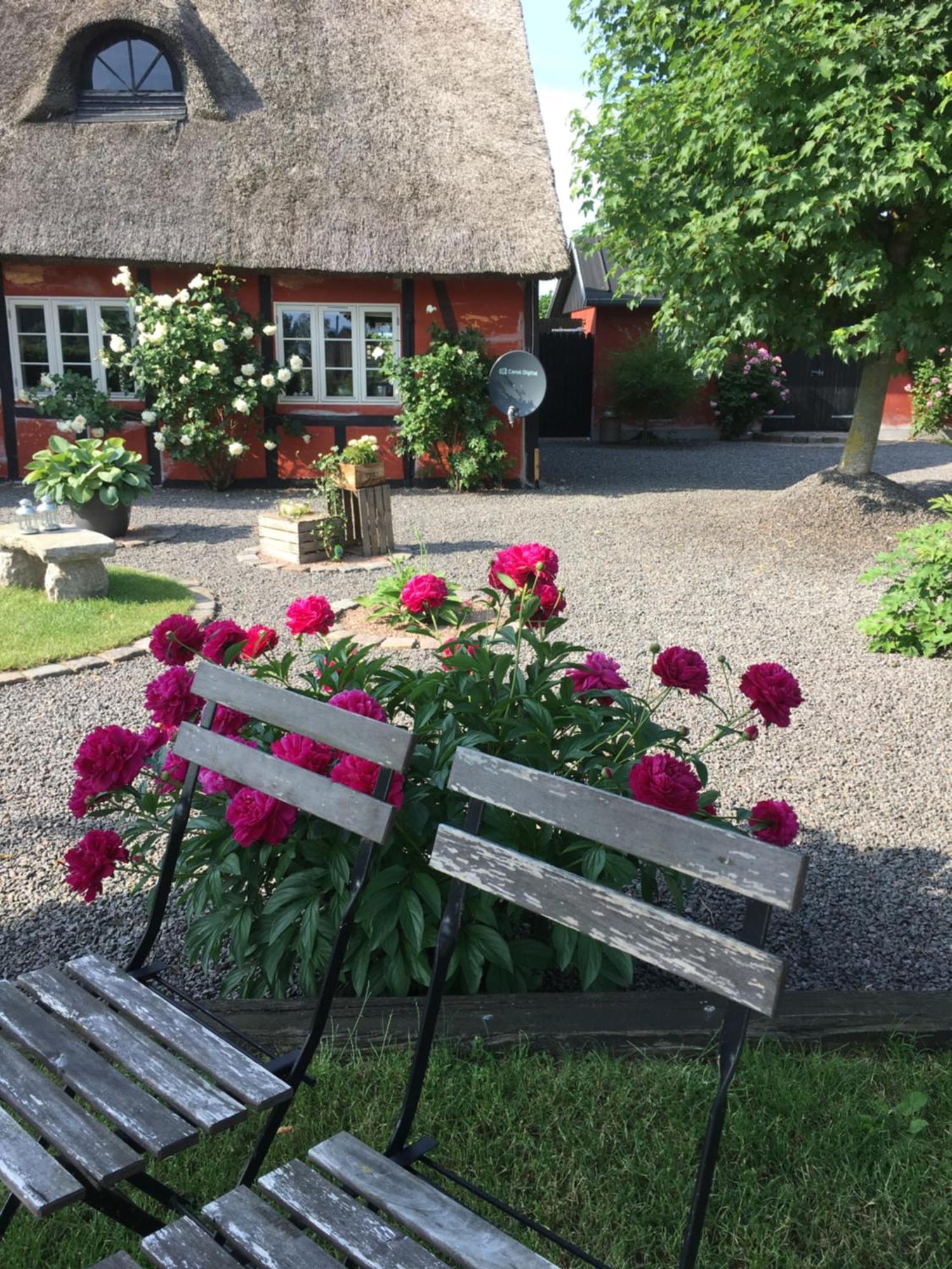 Lolland Bed & Breakfast Sollested  Exterior photo